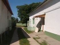 rendelo regi08